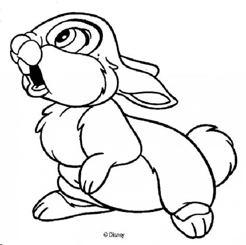 850x847 Thumper Coloring Pages