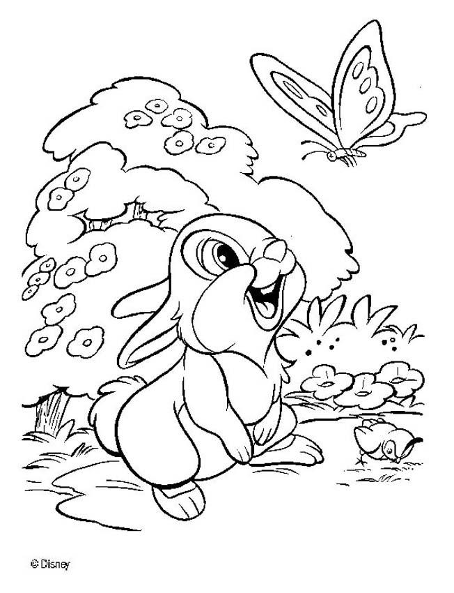 652x850 Thumper Coloring Pages