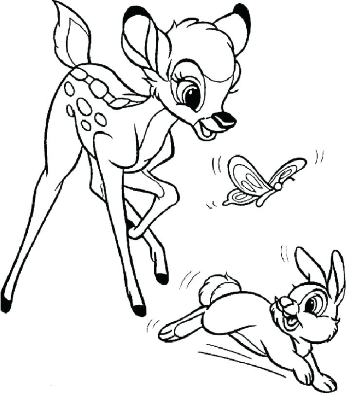 713x808 Thumper Coloring Pages Ran With Chasing Butterfly Coloring Pages