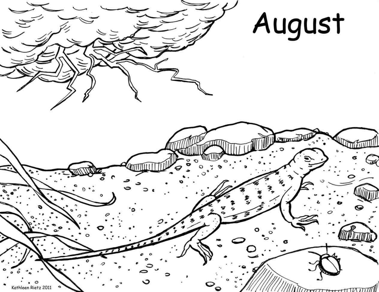 1264x976 Thunderstorm Coloring Pages Web Coloring Pages