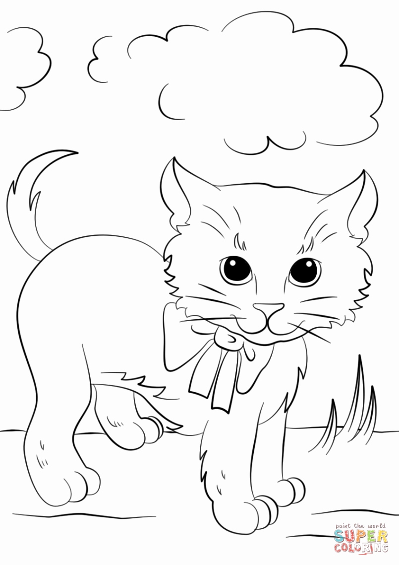 805x1138 Tie Dye Coloring Page Images King Penguin From Falkland Islands