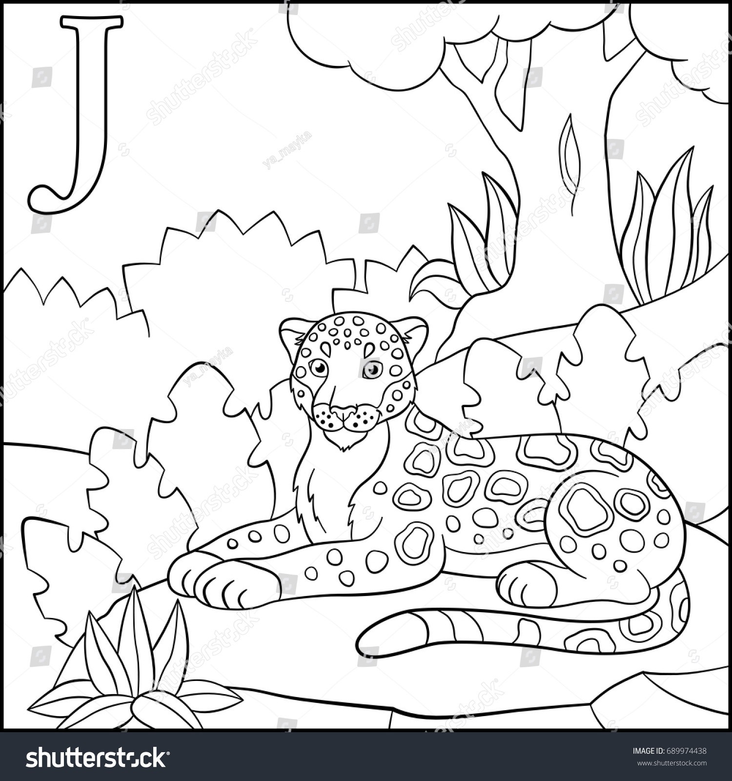 1500x1600 Tiffany Animal Coloring Pages Fresh Unique A To Z Animals Coloring