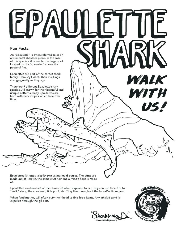 750x966 Tiffany Animal Coloring Pages Coloring Ideas Pro