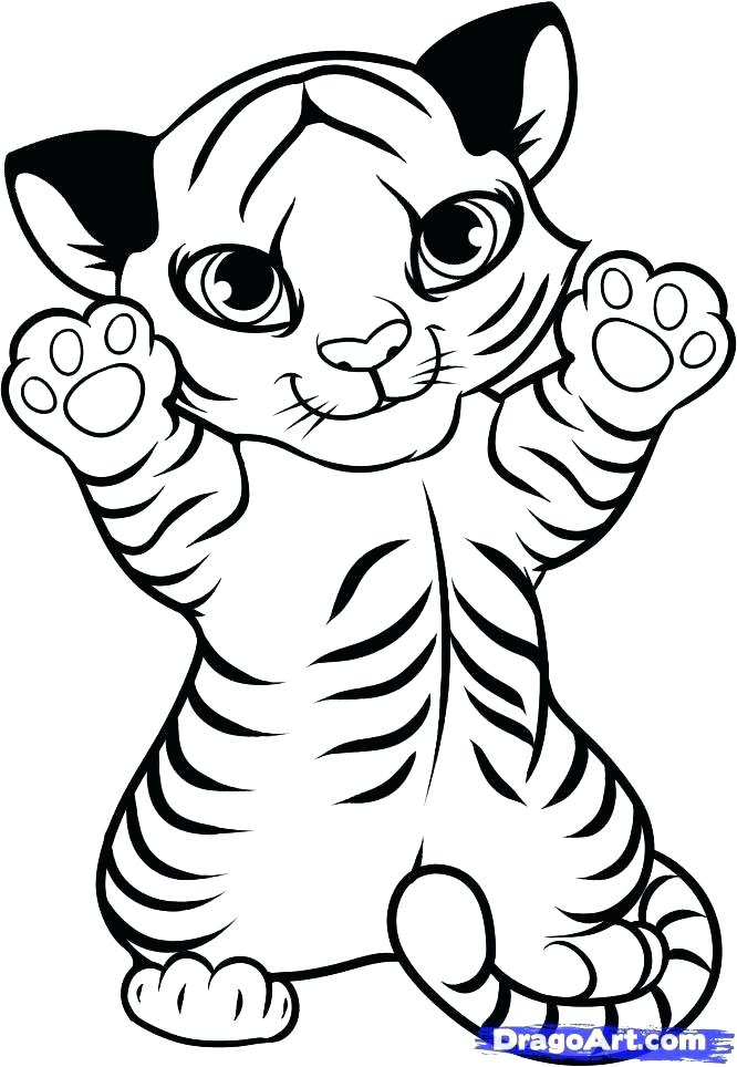 666x964 Tiger Coloring Cute Coloring Pages How To Draw A Baby Tiger Step