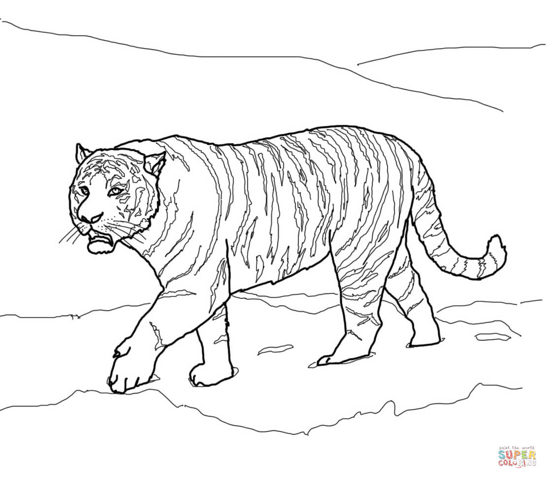1110x970 Tigers Coloring Pages Free Coloring Pages Tiger Coloring Page