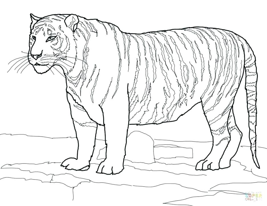 936x722 Auburn Coloring Pages Auburn Coloring Pages Adult Tiger Coloring