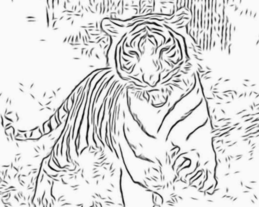 1000x800 Cartoon Running Tiger Coloring Pages Download Coloring Sheets