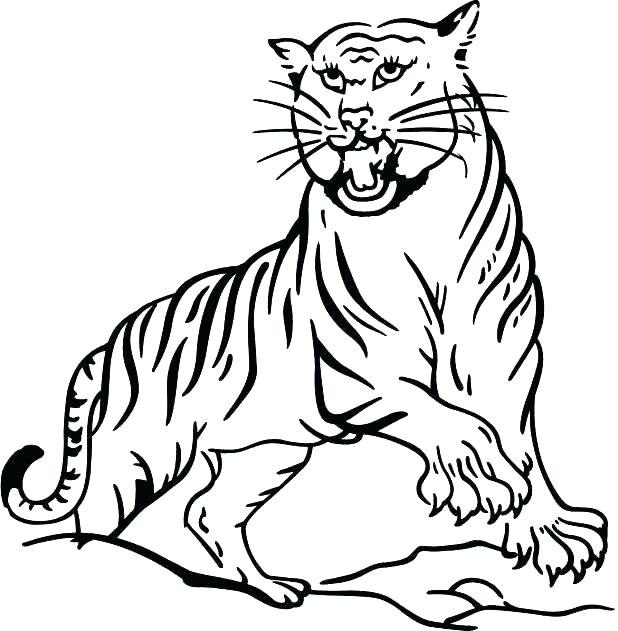 618x631 Printable Tiger Coloring Pages Tiger Coloring Pages Free Printable