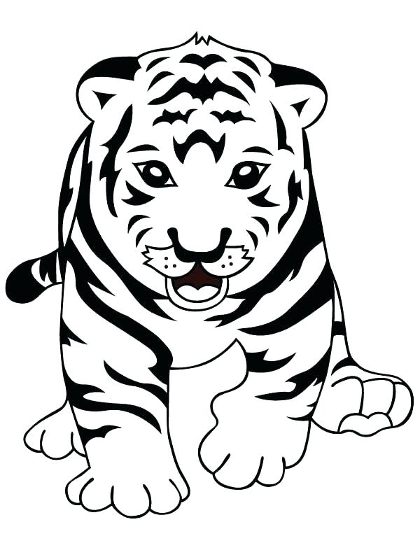 600x776 Ideas Tiger Coloring Pages And Tiger Coloring Pages For Preschool