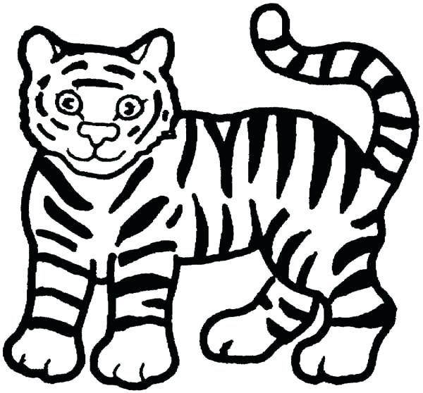 600x558 Tiger Color Pages Tiger Color Page Tiger Coloring Pages Tiger