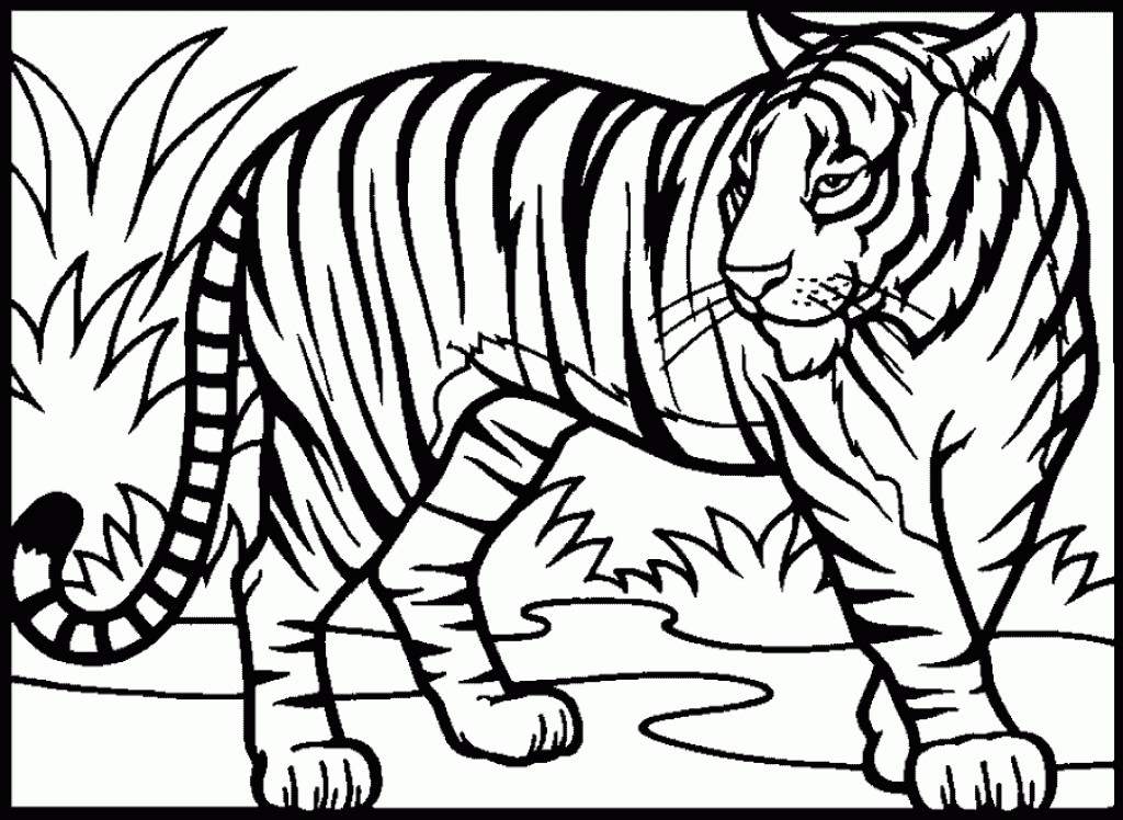 1024x748 Realistic Tiger Coloring Pages Free Summer Tigers