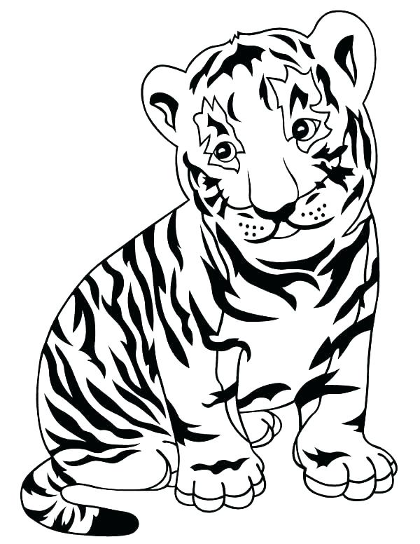 600x776 Tigers Coloring Pages Tiger Coloring Pages Coloring Pages