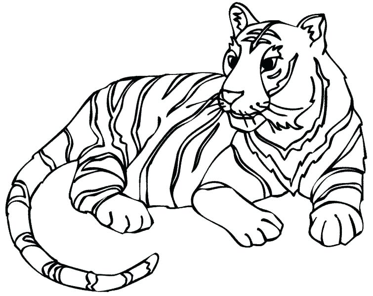 755x600 Coloring Pages Of Tigers Icontent