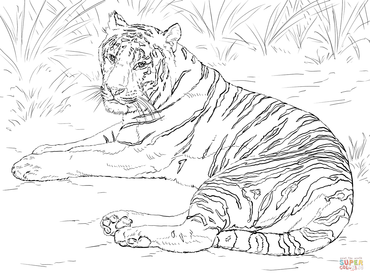 1199x899 Tigers Coloring Pages Free Coloring Pages Tiger Coloring Pages