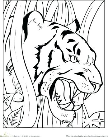 347x440 Tiger Coloring Pages Drawn Tiger Coloring Page Cute Tiger Cub