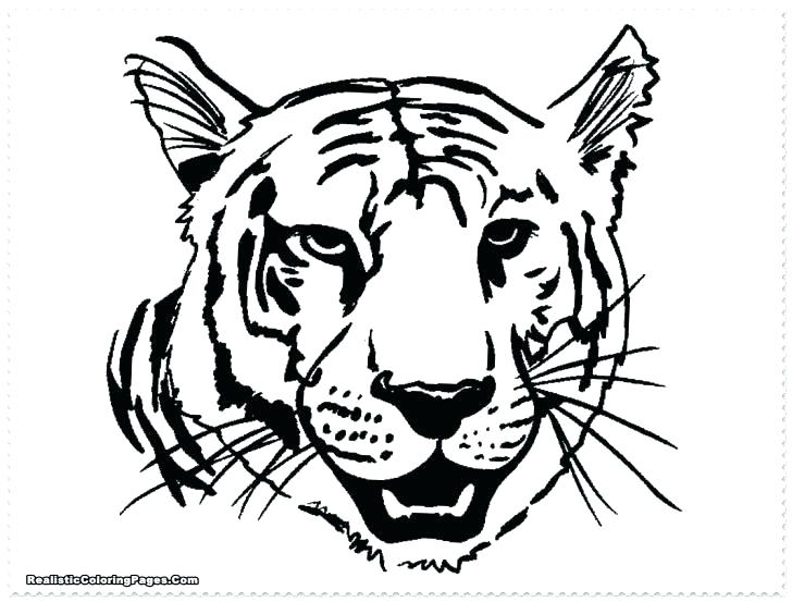 728x553 Tiger Face Coloring Page Coloring Pages Tiger Cute Valentine