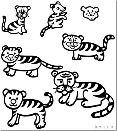404x451 Tiger And Tiger Face Coloring Pages