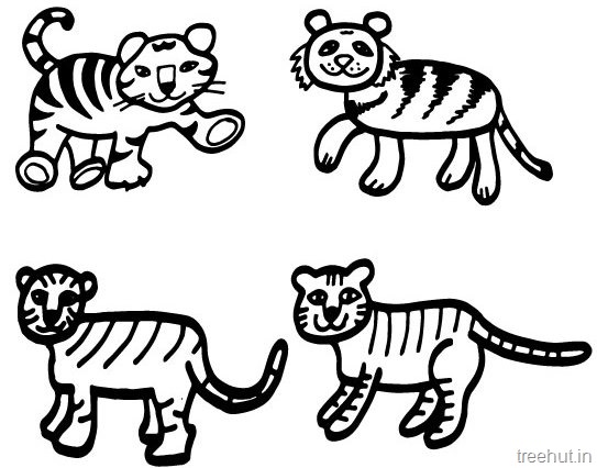 543x426 Tiger And Tiger Face Coloring Pages