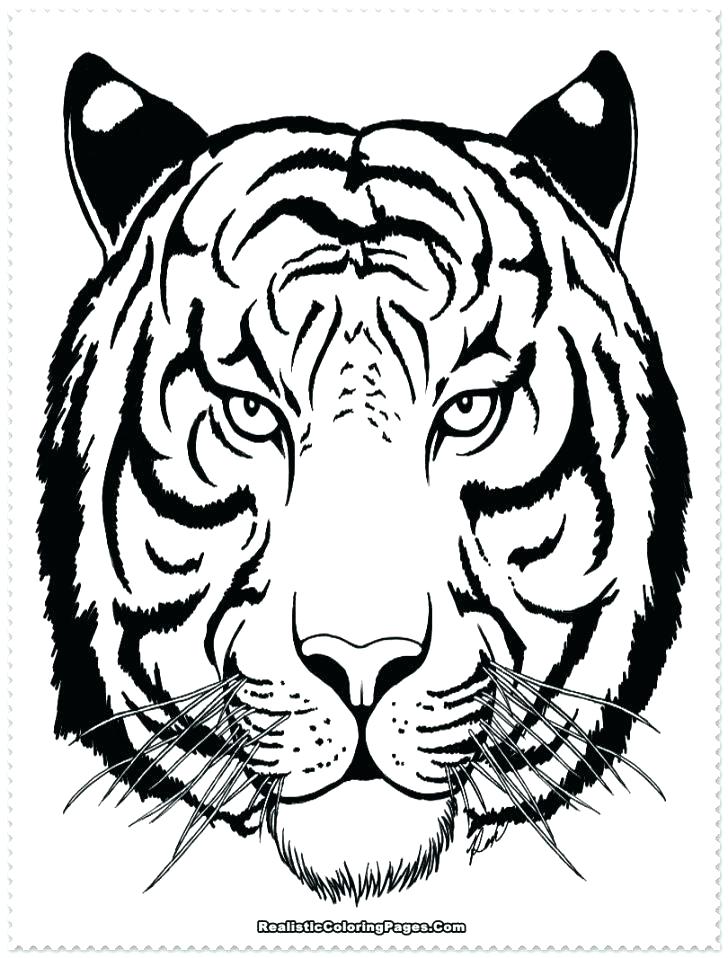 728x958 Coloring Page Of Tiger Free Tiger Coloring Pages Free Tiger