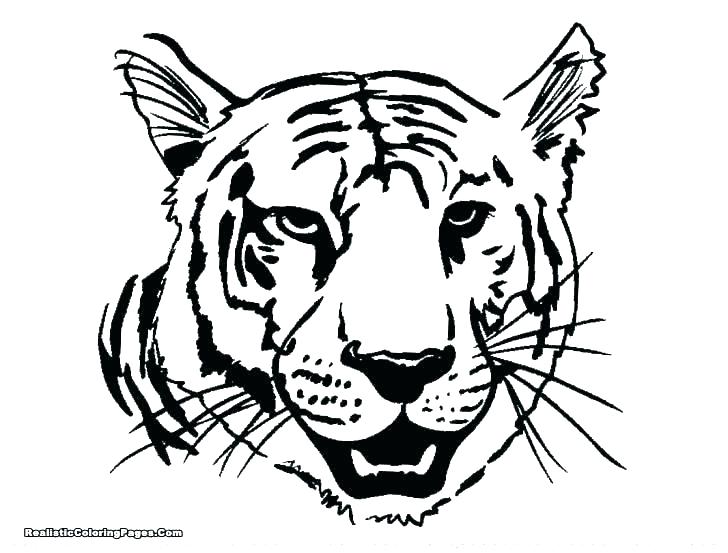 728x553 Tiger Head Coloring Pages Color Page White Picture Impressive