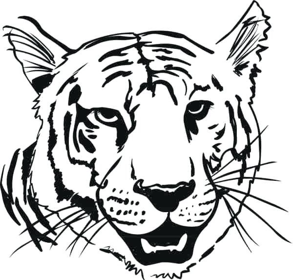 600x573 Tiger Head Coloring Page