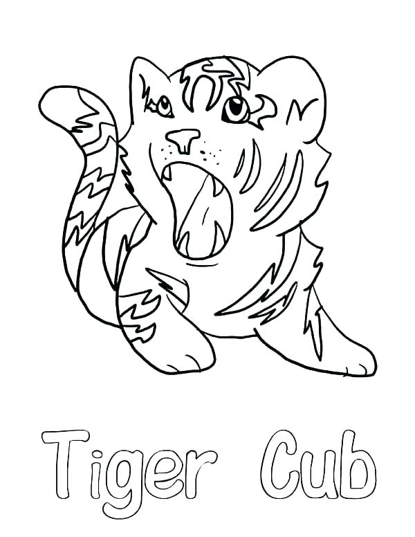 600x776 Coloring Pages Of Tigers Tiger Head Coloring Page Tiger Cub