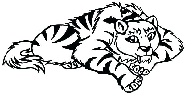 600x302 Tiger Coloring Pages Free Tiger Coloring Pages For Adults