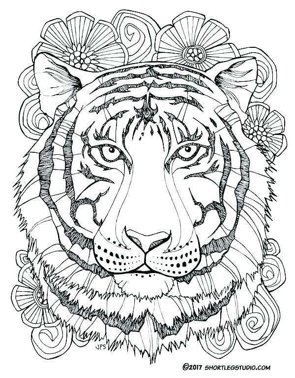 600x767 Tiger Coloring Picture Colouring Pages Of Tiger Printable Tiger