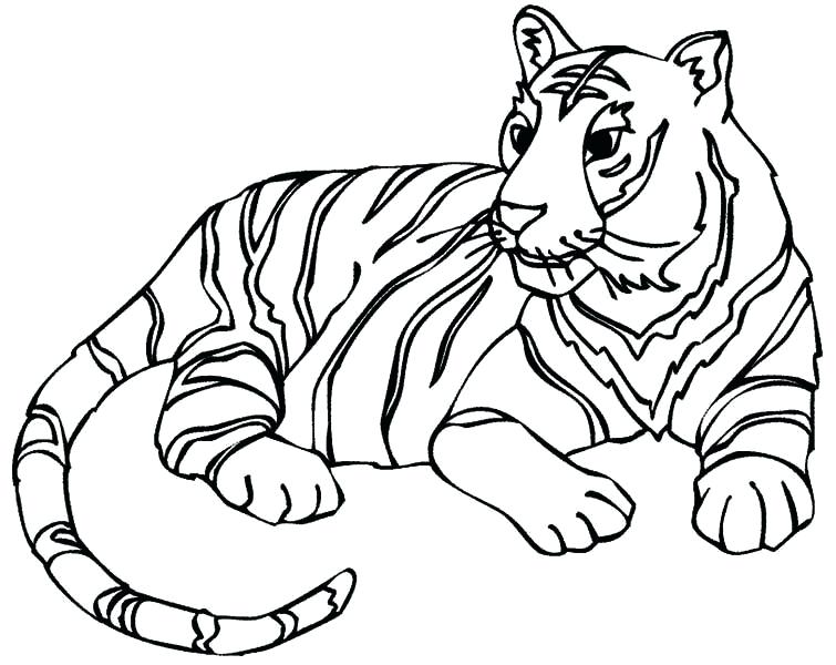 755x600 Tiger Coloring Picture Princess Tiger Lily Coloring Page