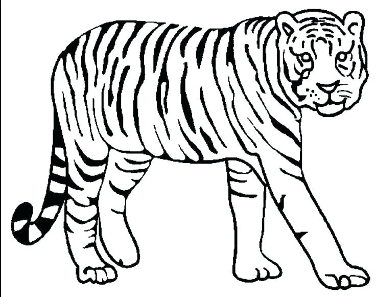 736x581 Tiger Coloring With Tiger Coloring Pages Photo Princess Tiger Lily