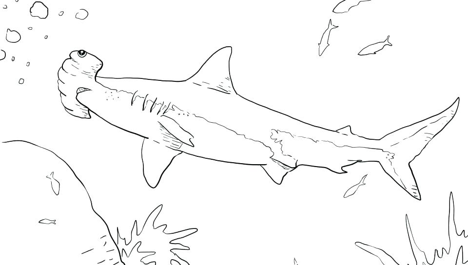960x544 Shark Color Pages Free Scary Shark Coloring Pages Scary Shark