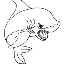 220x220 Tiger Shark Coloring Pages