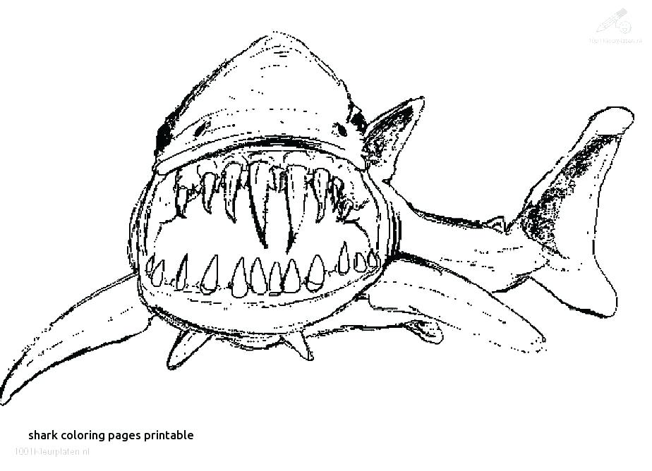 924x668 Tiger Shark Coloring Page