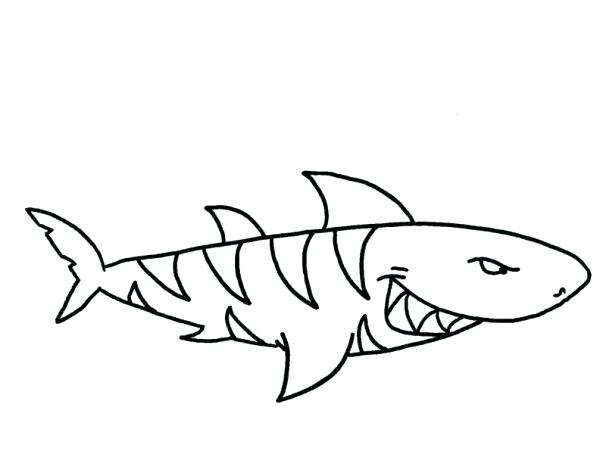 600x454 Tiger Shark Coloring Pages Shark Color Page Sumptuous Design Ideas