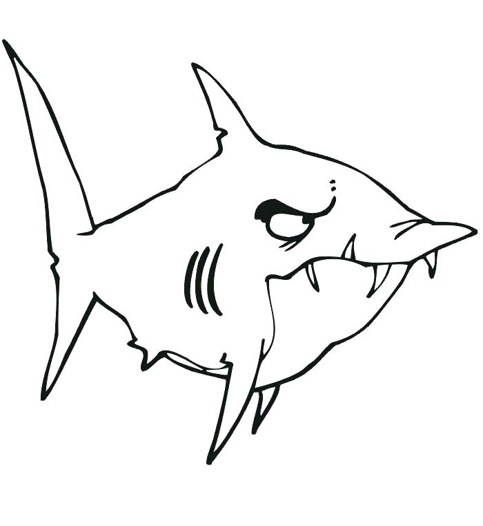 700x761 Printable Shark Coloring Pages Shark Coloring Pages Great White