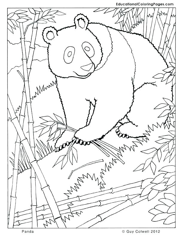 612x792 Panda Coloring Page Master Tigress Coloring Page Kung Fu Panda