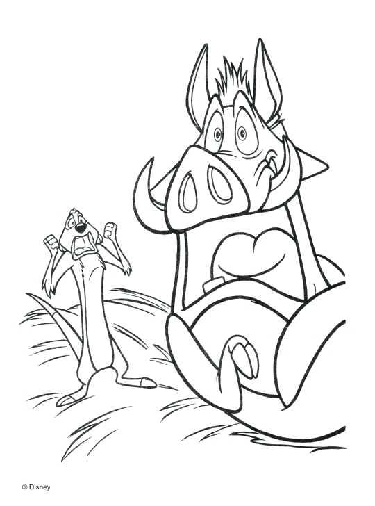 540x728 Timon And Pumbaa Coloring Pages And Coloring Pages Lion King Timon