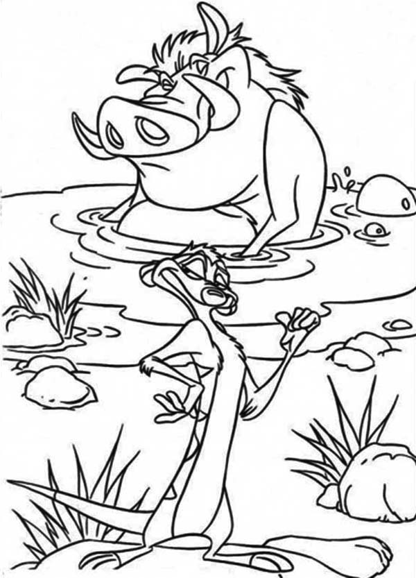 600x833 Printable The Lion King Coloring Pages
