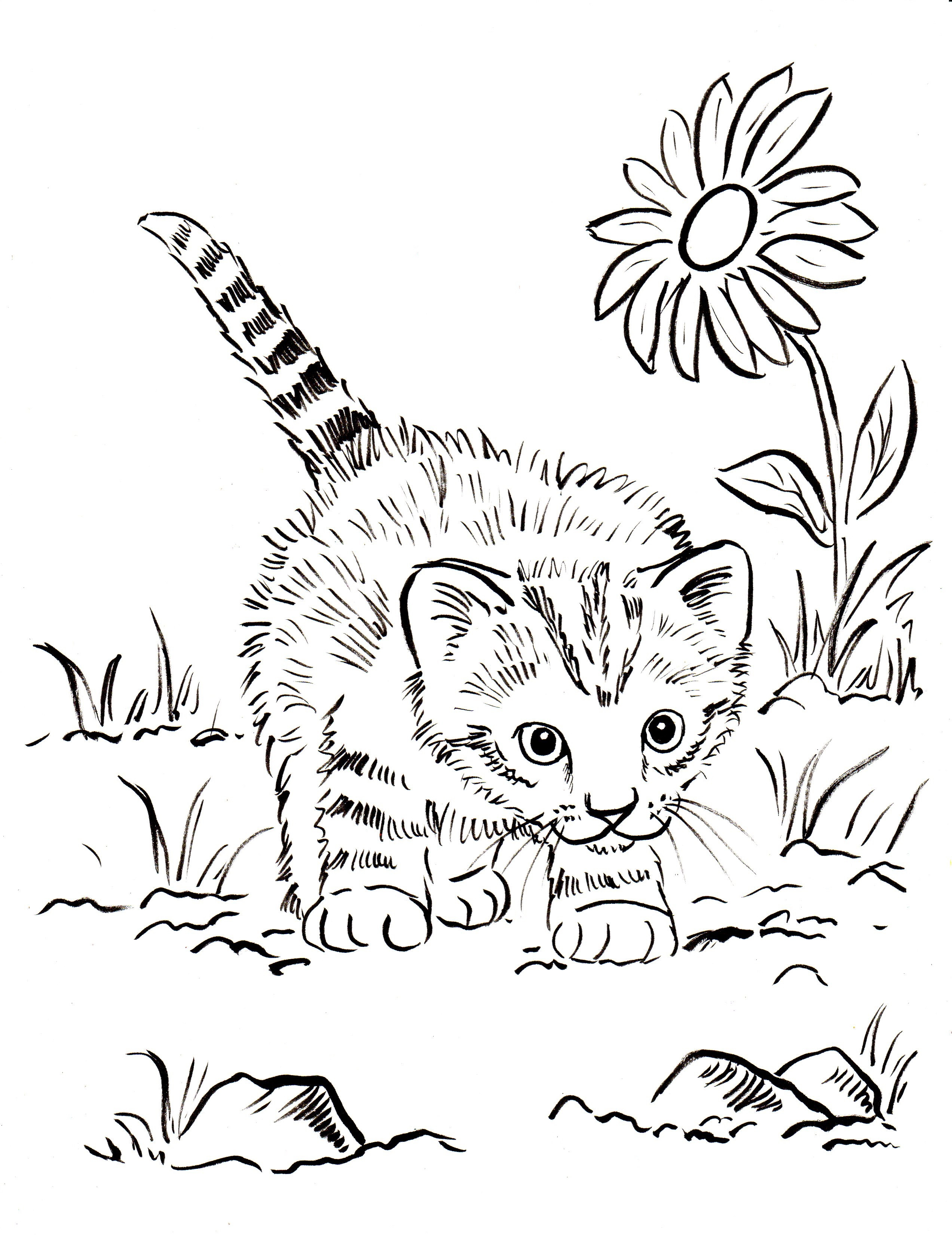 2545x3300 Kitty Cat Coloring Pages Printable Pictures For Tiny And Grumpy