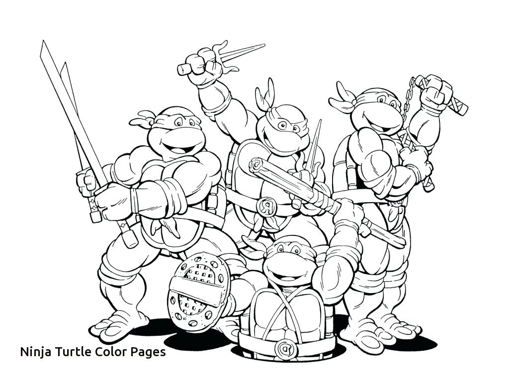 1024x765 Modern Ideas Coloring Page Ninja Turtle Ninja Turtles Coloring