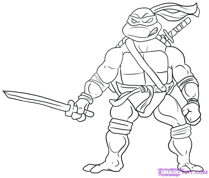 800x681 Teenage Mutant Ninja Turtles Printable Coloring Pages Turtle