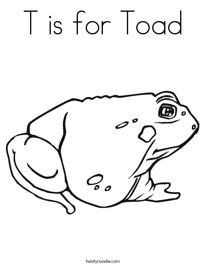 685x886 T Is For Toad Coloring Page