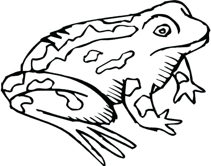 863x680 Toad Coloring Pages Toad Coloring Pages Coloring Pages Frog