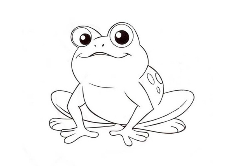 800x571 Frog And Toad Coloring Pages Online Coloring Pages