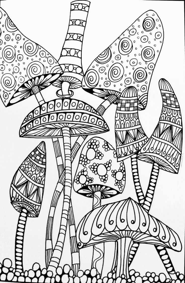 736x1128 Best Mushrooms + Toadstools Coloring Pages For Adults Images