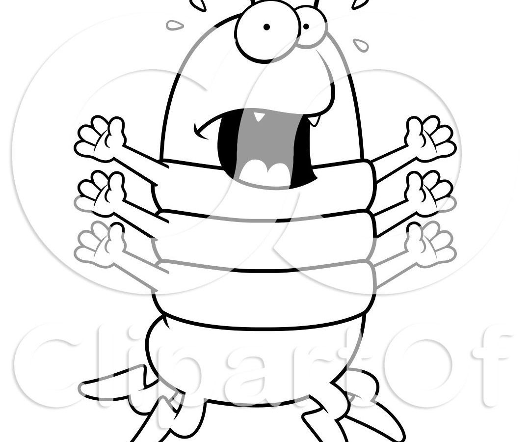 1080x900 Centipede Coloring Pages Colouring For Kids Giant Outstanding