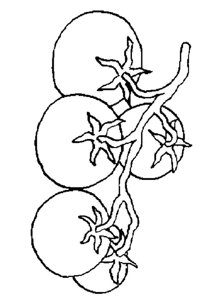 750x1000 Tomato Coloring Pages