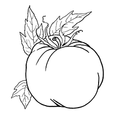 230x230 Top Tomato Coloring Pages Your Toddler Will Love To Color
