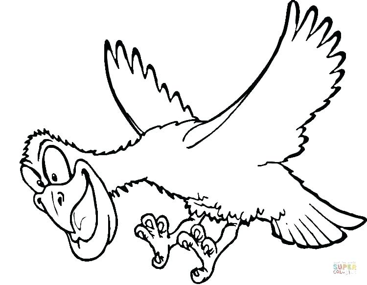 750x584 Hawk Coloring Picture Hawk Coloring Pages Yoschool Site