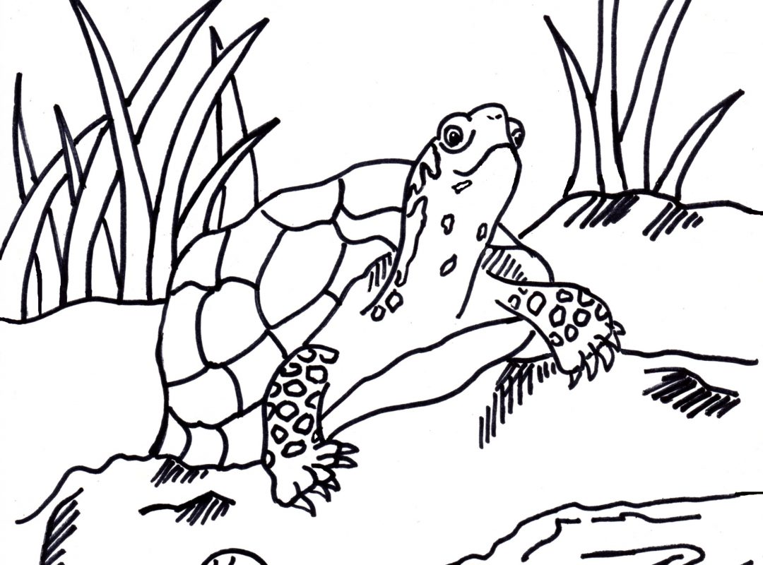 1080x800 Box Coloringages For Kids Lunch Toolresent Crayon Gift Chocolates